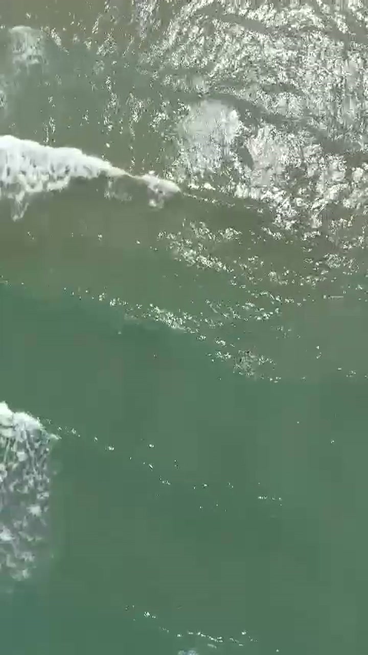 Mare Adriatico