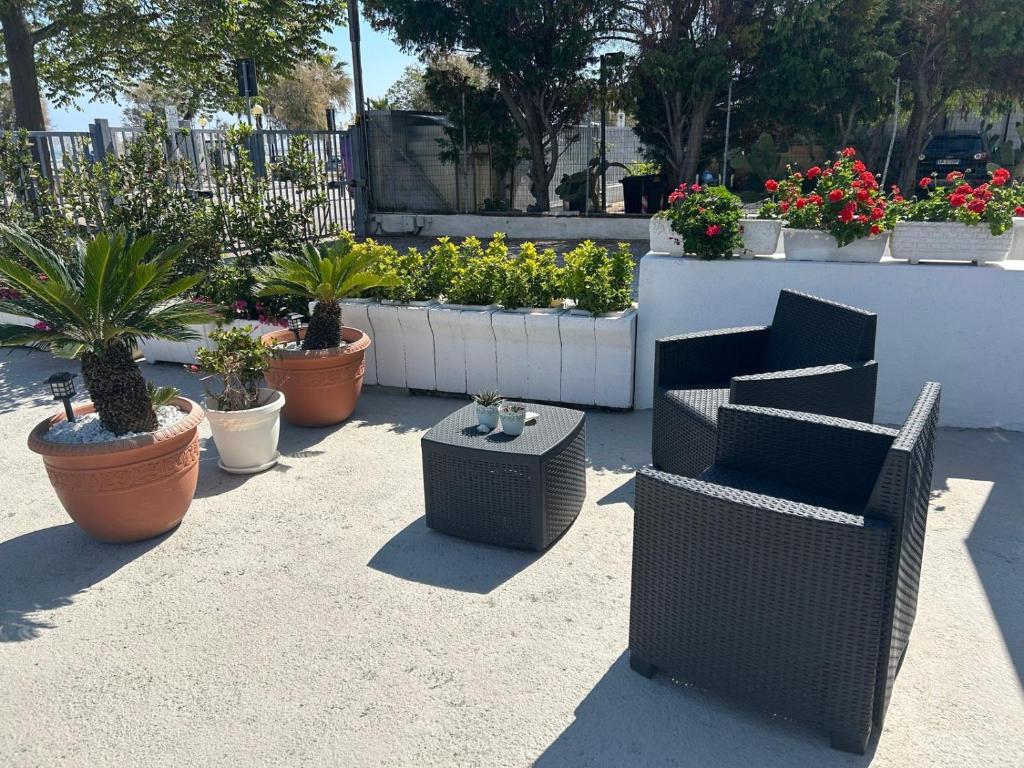 Giardino esterno con fiori e relax